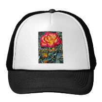 Luminous red and yellow rose with raindrops hats