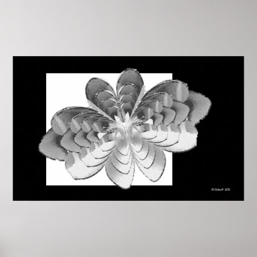 Luna Butterfly Print