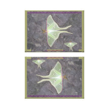 LUNA MOTH ART STRETCHED CANVAS PRINTS