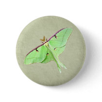 Luna Moth Button