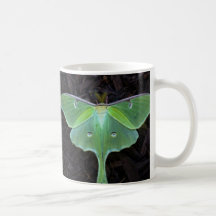 Luna Moth Mug