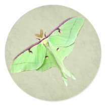 Luna Moth Sticker