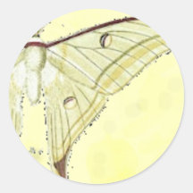 luna moth stickers