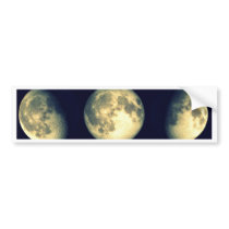 Lunar Cycles ~ The Moon