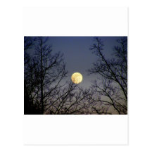 Lunar Eclipse 2008 Post Card