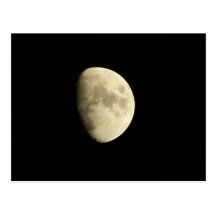 Lunar Gift Postcard