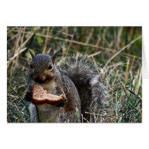 Lunch? Card