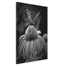 Lunch on the fly gallery wrap canvas