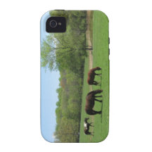 Lunch with Friends three horses Vibe iPhone 4 Cover