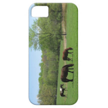 Lunch with Friends three horses iPhone 5 Cases