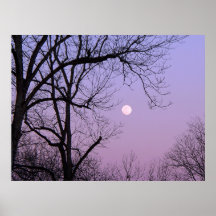 Lune d'hiver posters