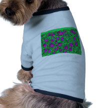 Lunettes de soleil manteaux pour animaux domestiques