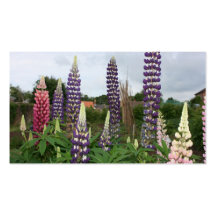 Lupin Business Card