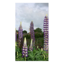 Lupin Business Card