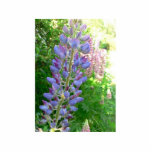 Lupine Blue Flower Cut Out