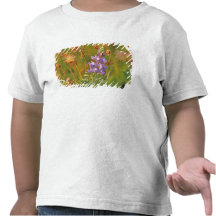 Lupine & Prairie Smoke wildflowers in Montana 2 T Shirt