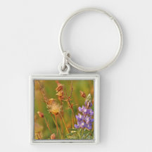 Lupine & Prairie Smoke wildflowers in Montana Key Chain