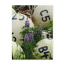 Lupins in the fishing buoys post card