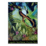 Luquillo Parrots Cards