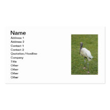 Lurch Business Card Templates