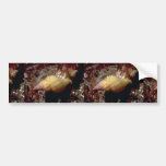 Lurid dwarf triton (Ocenebra lurida) Shell Bumper Sticker