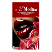 Luscious Lips Beauty Salon & Day Spa