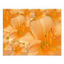 Luscious Orange Photo Art
