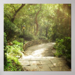 Lush Central Park Landscape, NYC, Medium Print