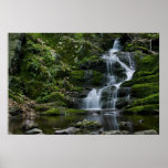 Lush Flowing Falls Poster
