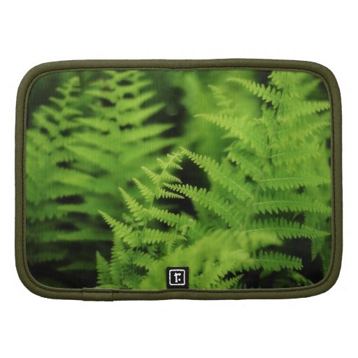 Lush Green Ferns Folio Planners