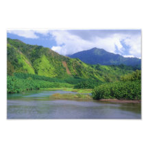 Lush island lagoon photo art