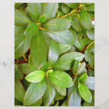 Lush leaves and stems flyer