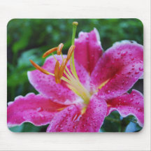 Lush Lily Mousepad