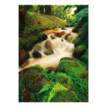 Lush Natural Colours Personalized Announcement
