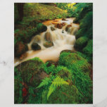 Lush Natural Colours Personalized Flyer