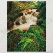 Lush Natural Colours Personalized Flyer