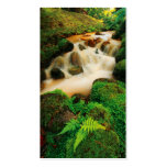 Lush Natural Colours - Pocket Calendar business cards