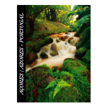 Lush Natural Colours Postcard