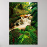 Lush Natural Colours Posters