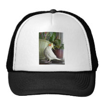 Lutino Cockatiel Hats