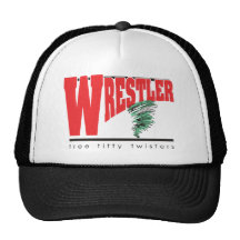 Lutte Casquette De Camionneur
