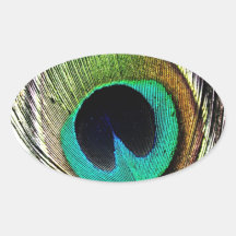 Luxe royal animal S de bel oiseau vert de paon Adhésif