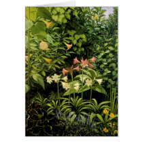 Luxuriant Garden Cards