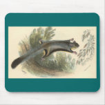 Lydekker - Lesser Flying Phalanger/Possum Mouse Mats