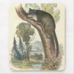 Lydekker - Pygmy Flying Phalanger/Possum Mouse Mat