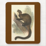 Lydekker - Taguan Flying Phalanger/Possum Mouse Mat