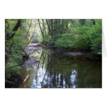 LYNCH CREEK by SHARON SHARPE Greeting Card