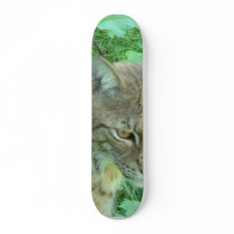 Lynx 3 skate decks