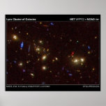Lynx Cluster of Galaxies