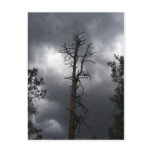 Lynx Lake, Arizona, is a 55-acre reservoir Postcards